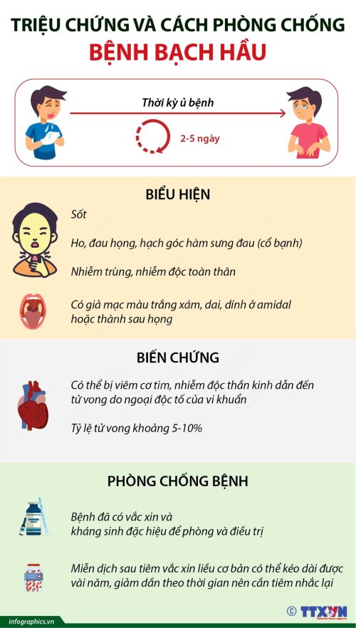 triệu chứng bệnh bạch hầu.jpg